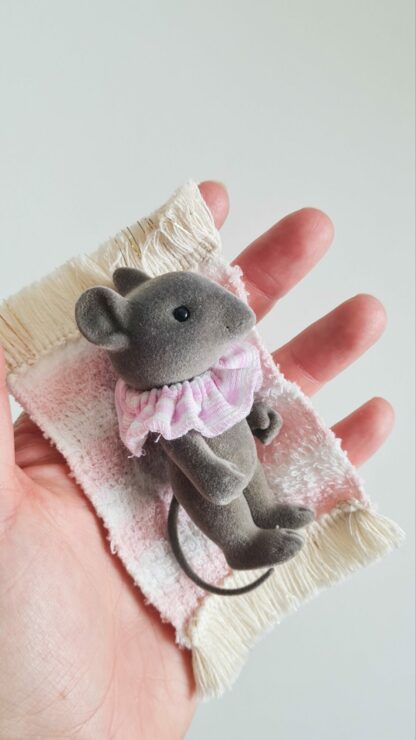 Petit malin à la plage -
Souris Rose